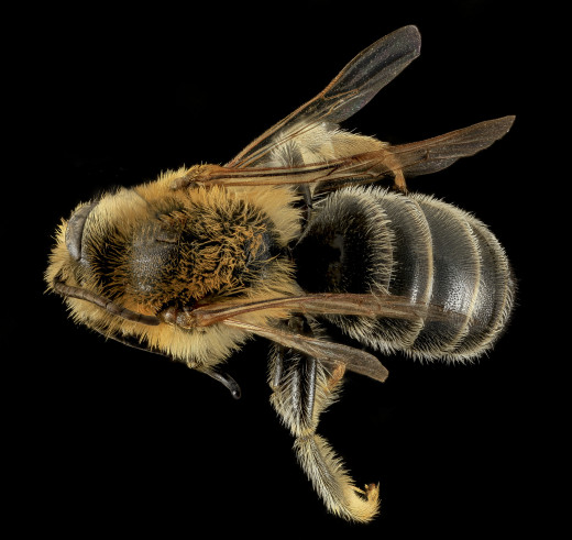 840733 (a): :2048x1931